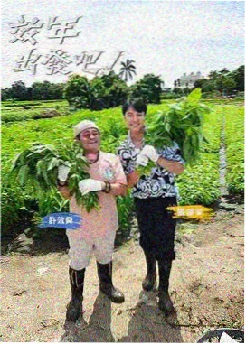 烤物与地方调味类味觉标签图鉴